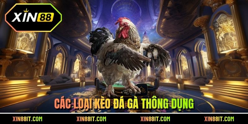 Các loại kèo đá gà thông dụng