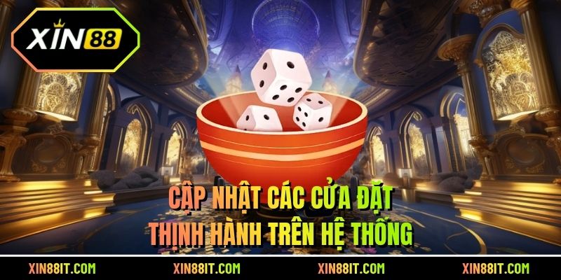 Cập nhật các cửa đặt thịnh hành trên hệ thống