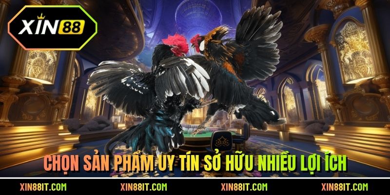 Chọn sản phẩm uy tín sở hữu nhiều lợi ích