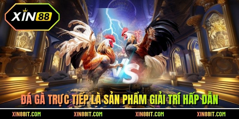 Đá gà trực tiếp là sản phẩm giải trí hấp dẫn