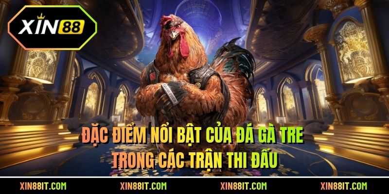 Đặc điểm nổi bật của đá gà tre trong các trận thi đấu