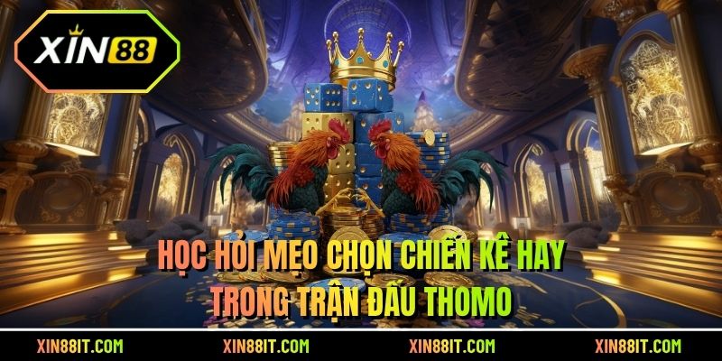 Học hỏi mẹo chọn chiến kê hay trong trận đấu Thomo