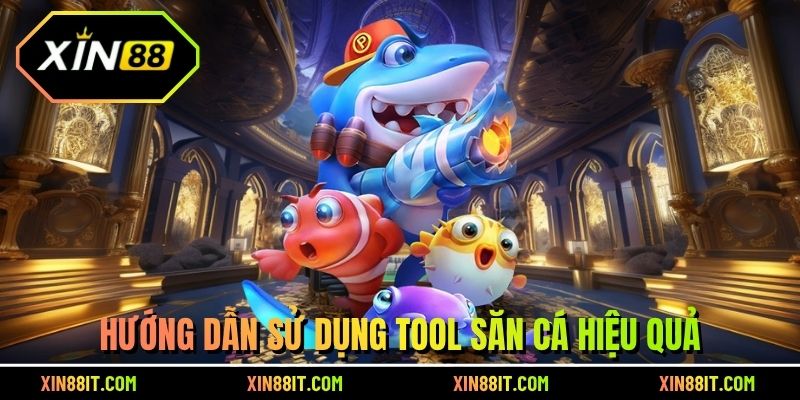 Hướng dẫn sử dụng tool săn cá hiệu quả
