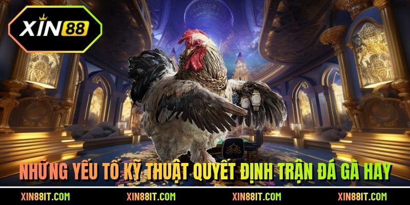 Những yếu tố kỹ thuật quyết định trận đá gà hay