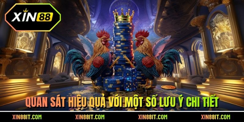 Quan sát hiệu quả với một số lưu ý chi tiết