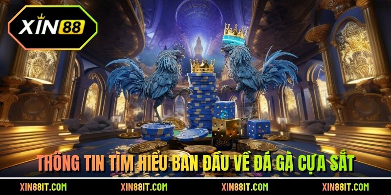 Thông tin tìm hiểu ban đầu về đá gà cựa sắt