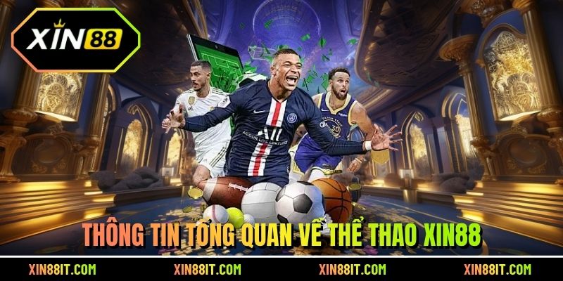 Thông tin tổng quan về thể thao Xin88