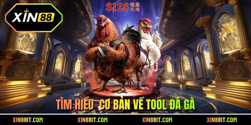 Tìm hiểu cơ bản về tool đá gà
