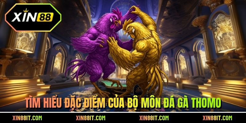Tìm hiểu đặc điểm của bộ môn đá gà Thomo