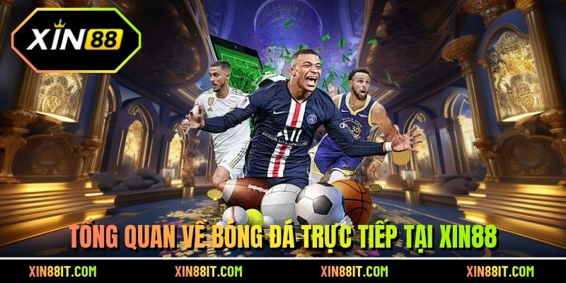 Tổng quan về bóng đá trực tiếp tại Xin88
